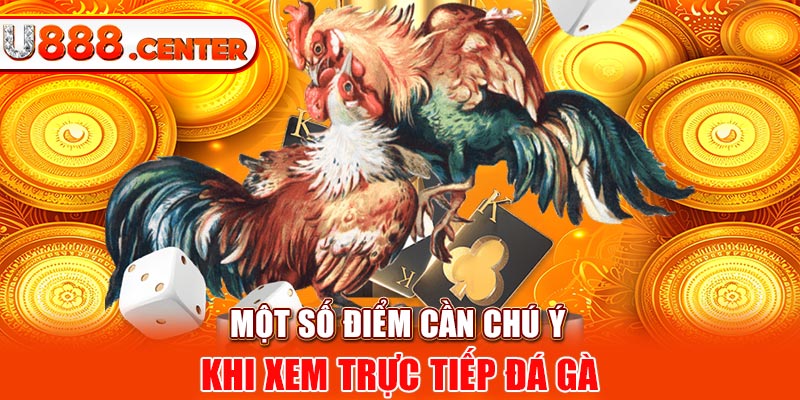 Một số điểm cần chú ý khi xem trực tiếp đá gà 