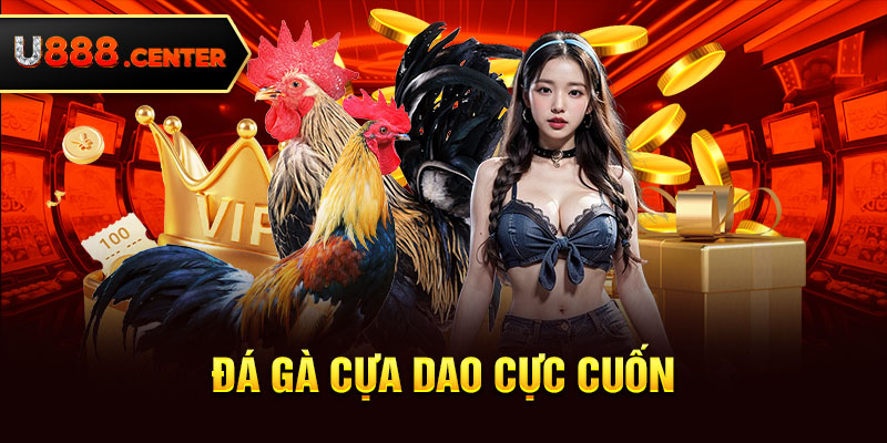 Đá gà cựa dao cực cuốn