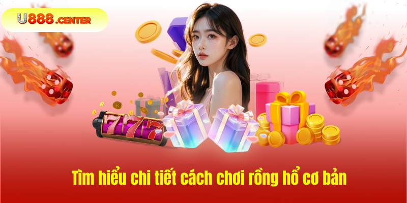  Tìm hiểu chi tiết cách chơi rồng hổ cơ bản